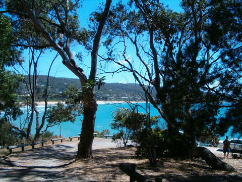 View looking back towards beach at Lorne