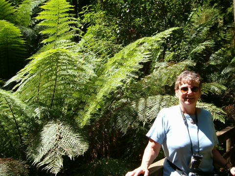Barb in Rainforest
